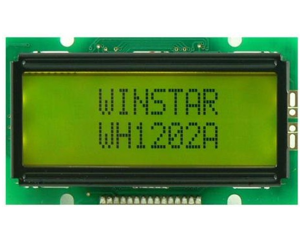 Индикатор WH1202A-YGH-CT#