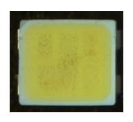 Светодиод SP301-WKW-XE0F0E13
